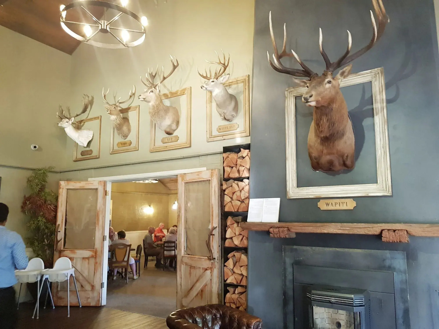 Hot Springs Motor Lodge