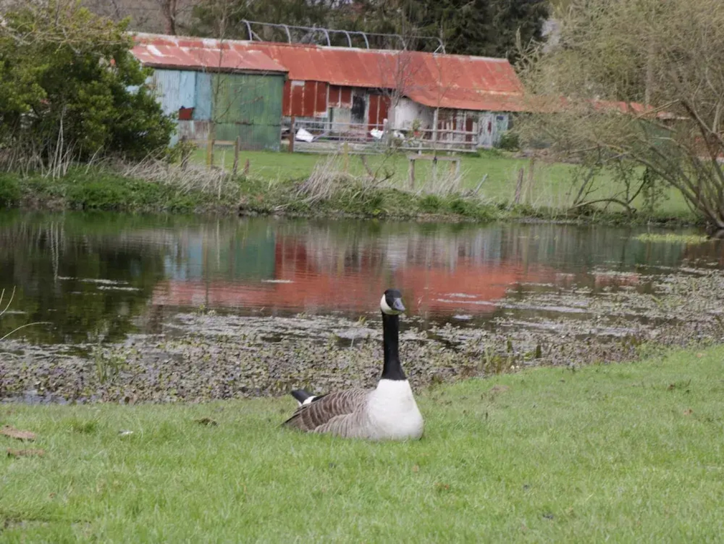 The Courtyard - Hilltop Barn