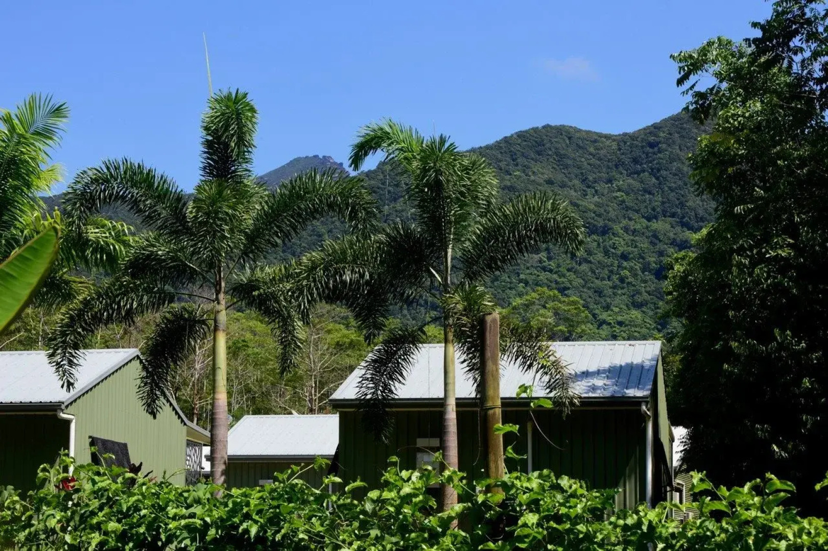 Daintree Peaks ECO Stays