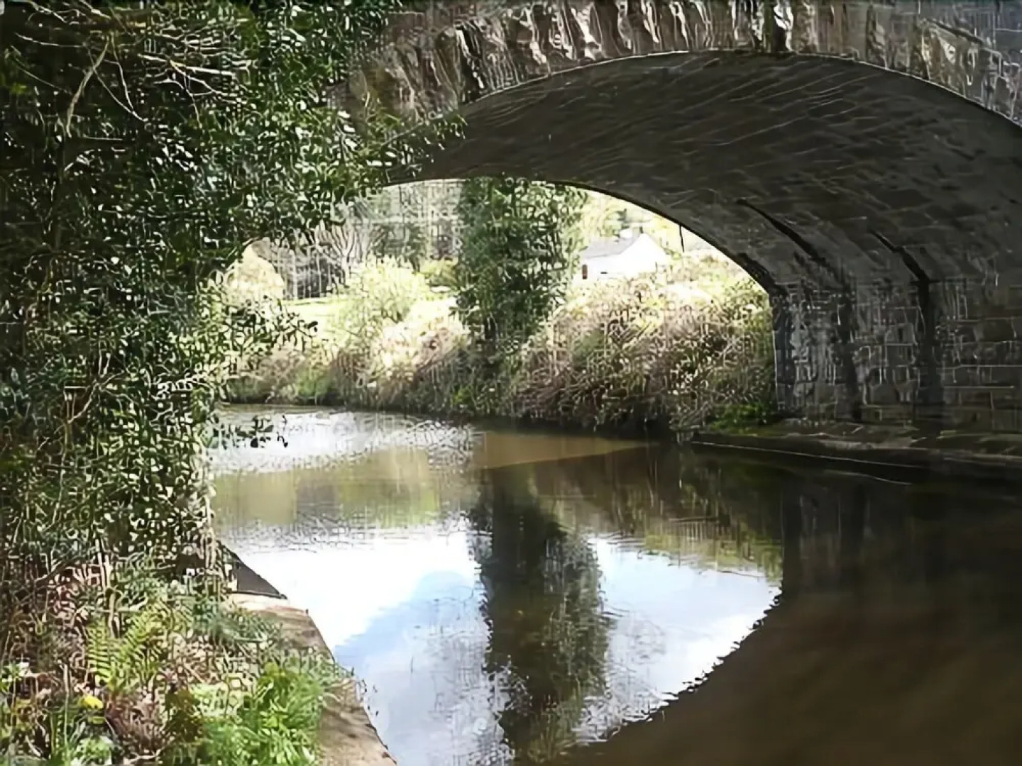 Hamills Bed and Breakfast