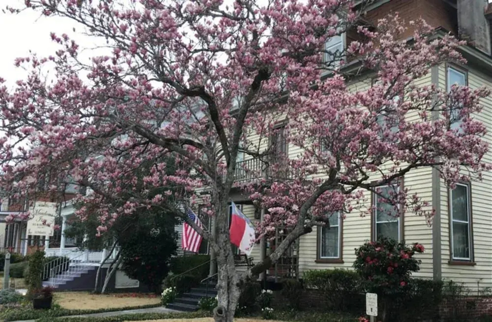 Meadows Inn Bed & Breakfast