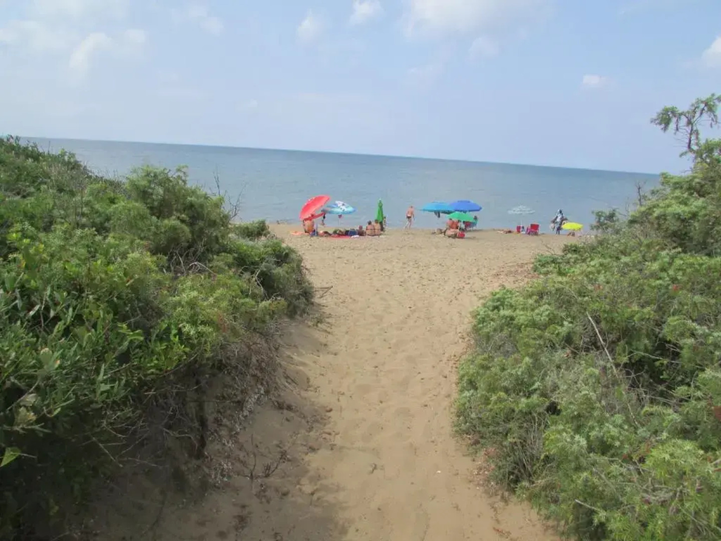 azienda agrituristica Allumiere