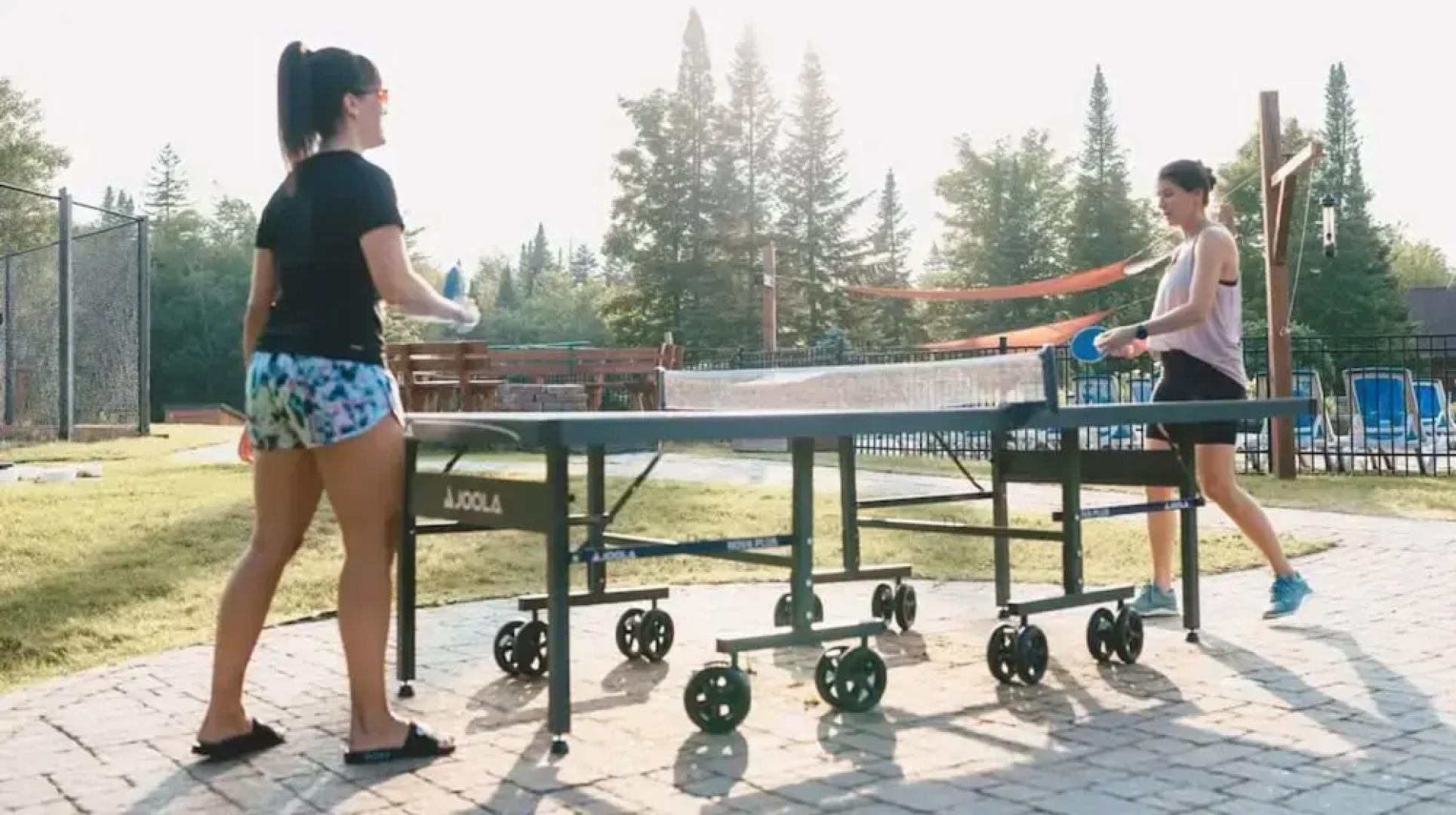 Le Cerf 40 Citq 234861