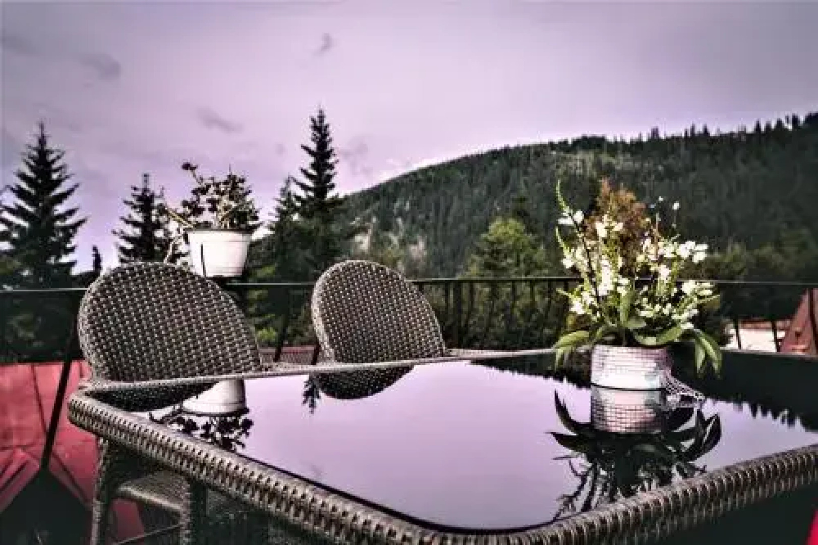 Pensiunea Adriana Straja