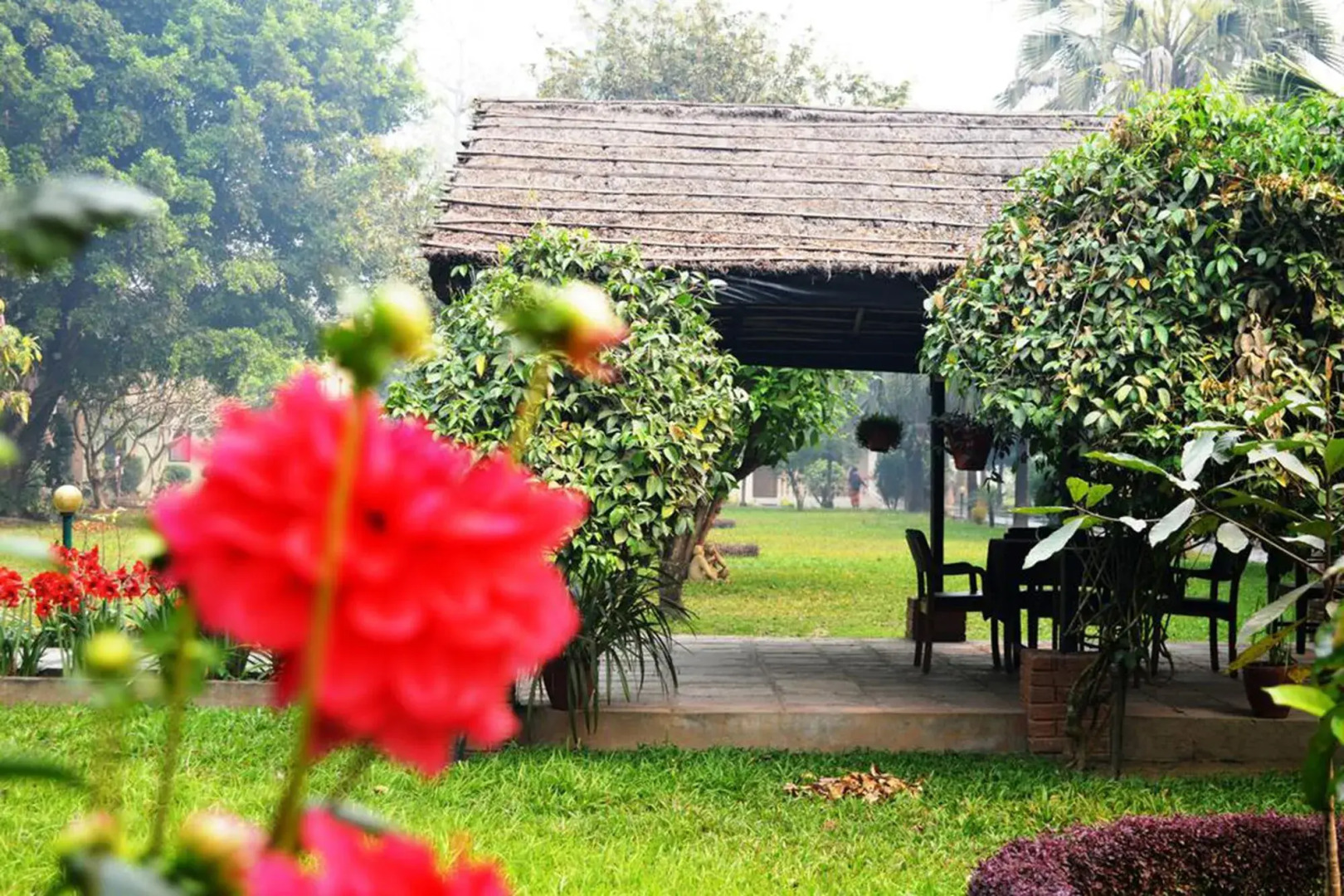 Chitwan Paradise Hotel