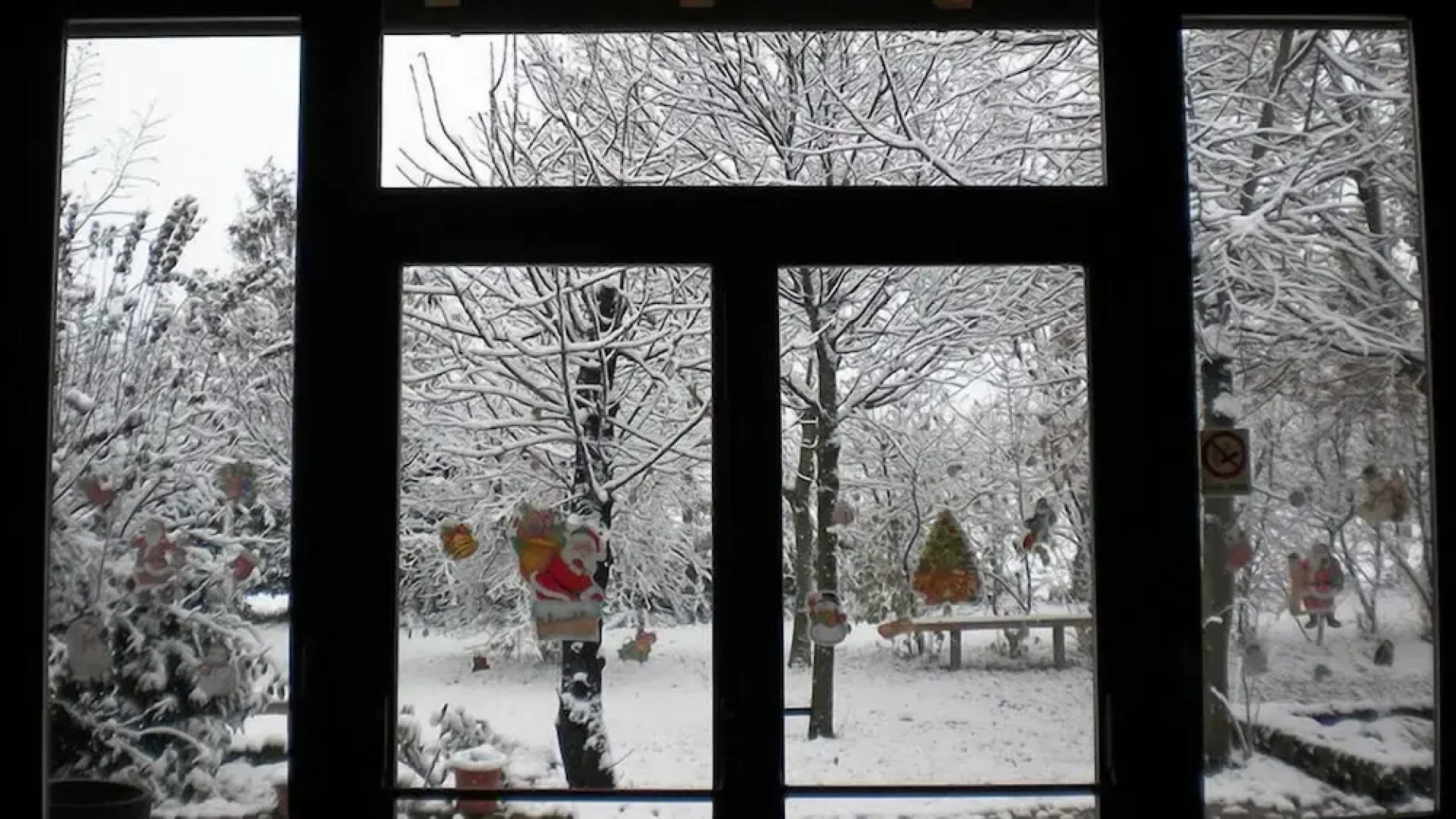 Agriturismo L' Ulivo