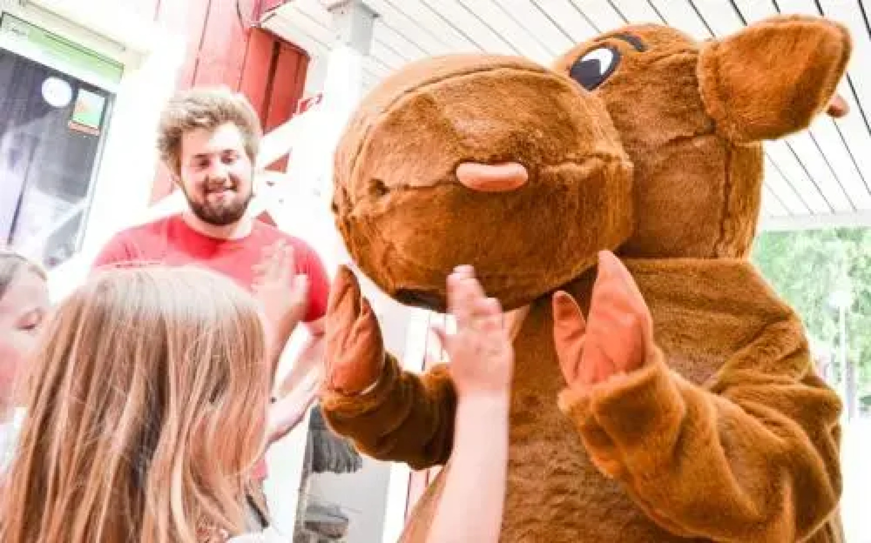 Kristinehamn Herrgardscamping & Stugor