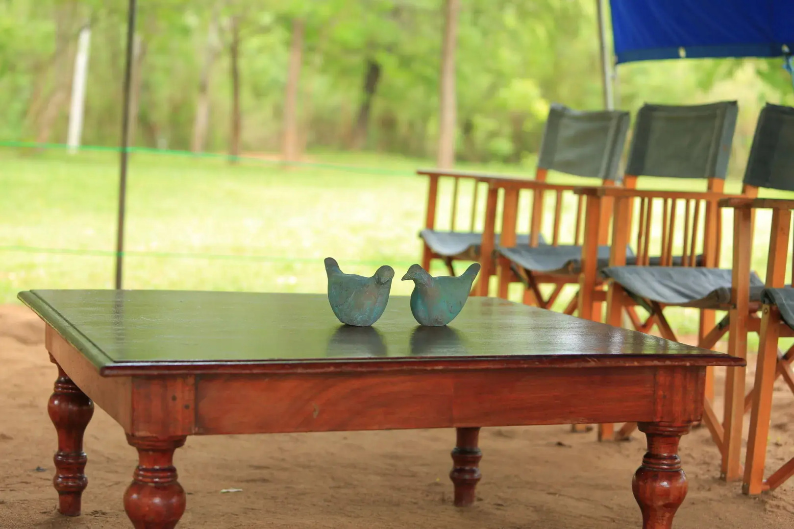 Big Game - Udawalawe by Eco Team