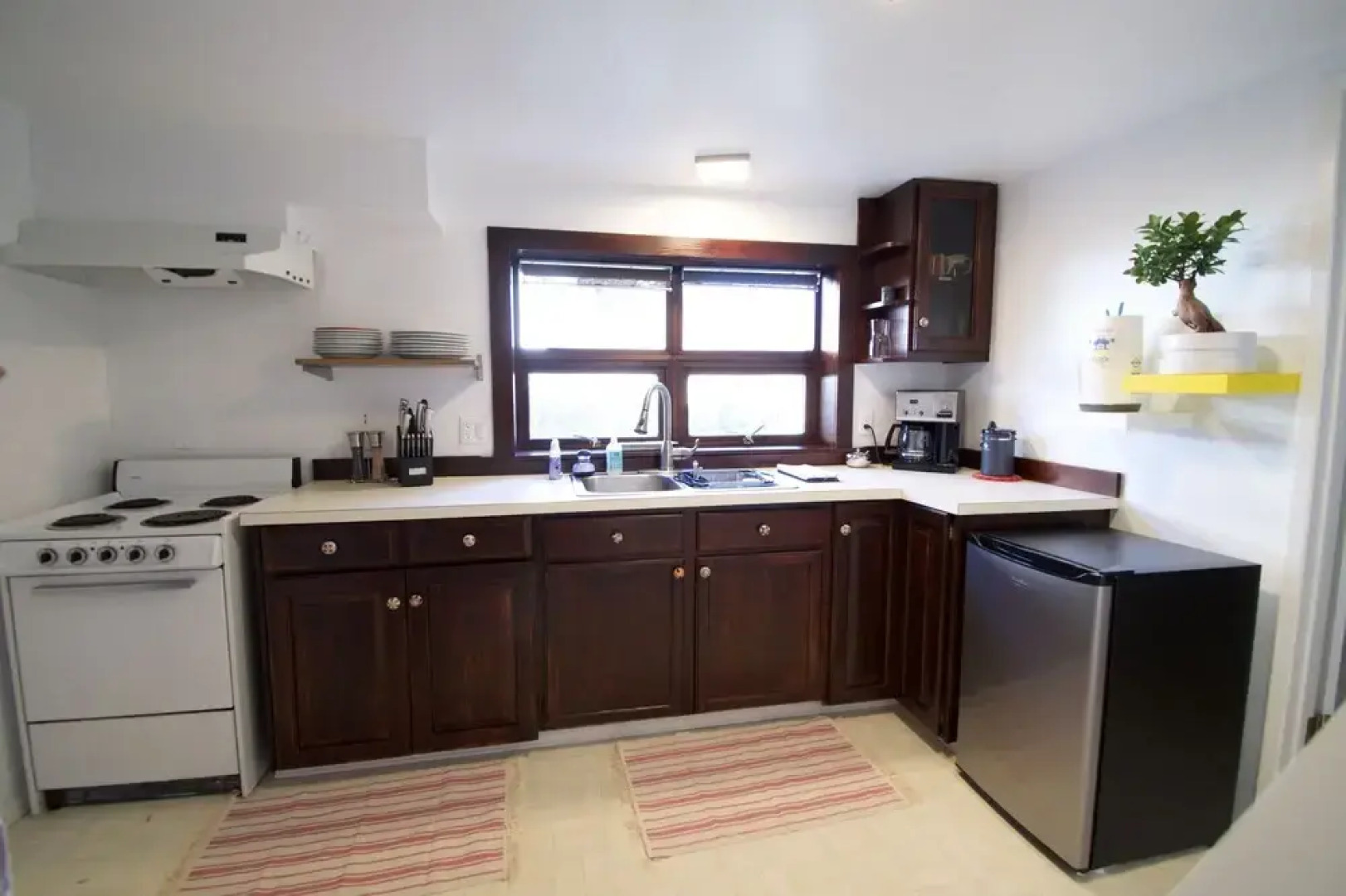 Hidden Greenlake Gem -- Central Location