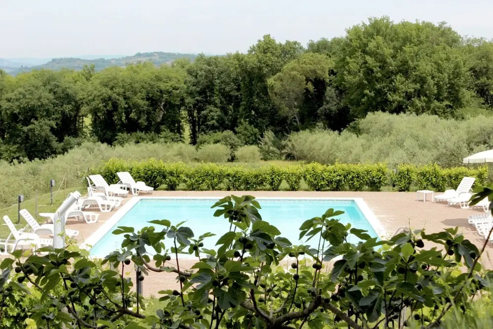 Agriturismo Poggio alle Vigne