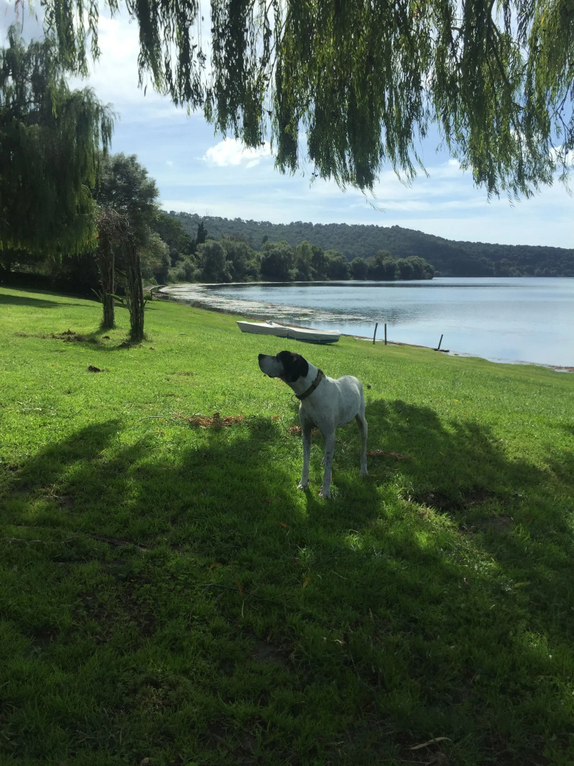 Il Cenacolo Di Sissi