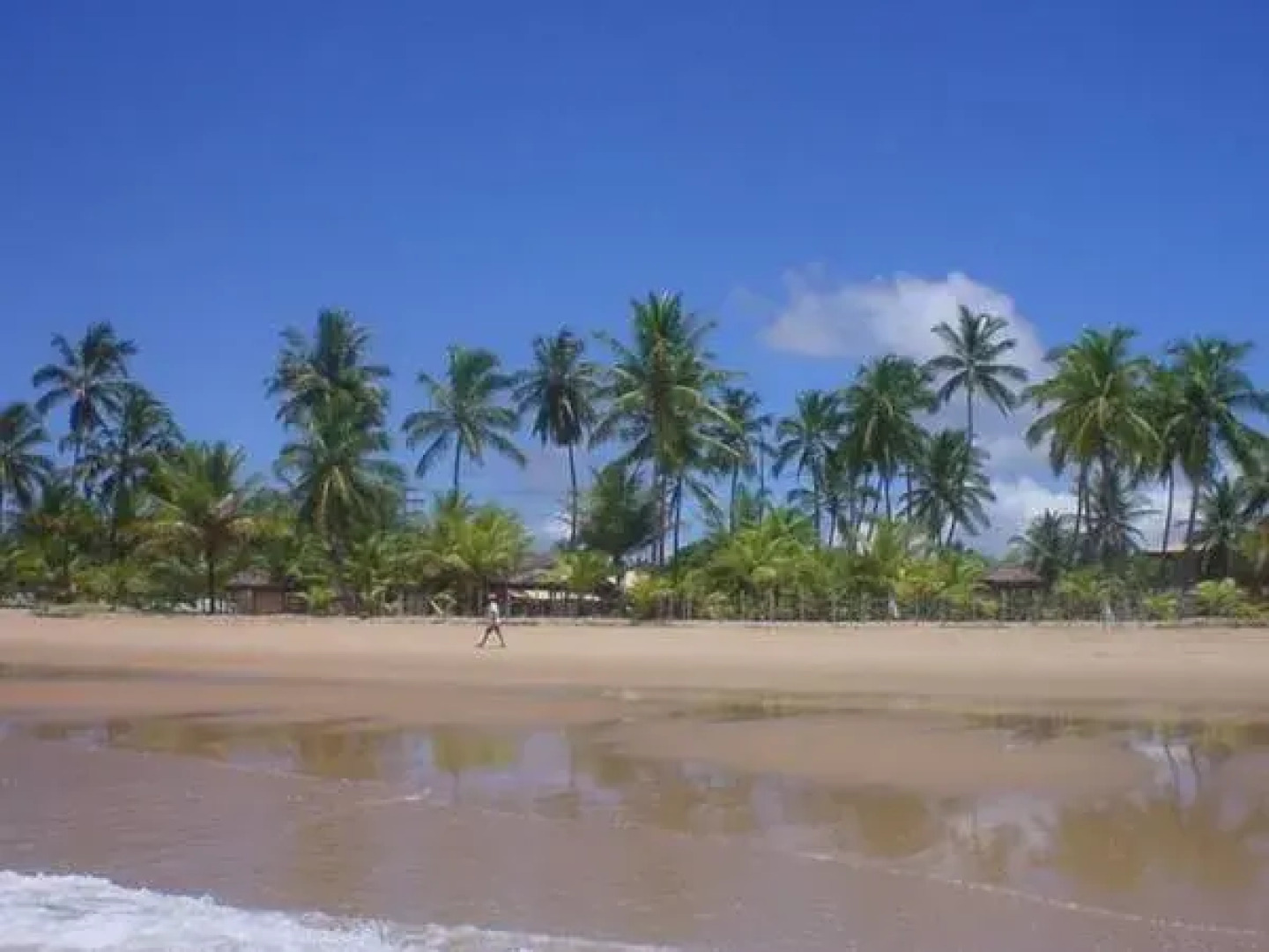 Pousada Bambu Dourado