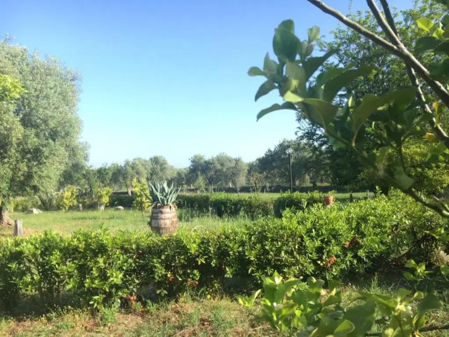 Tenuta TerraRossa