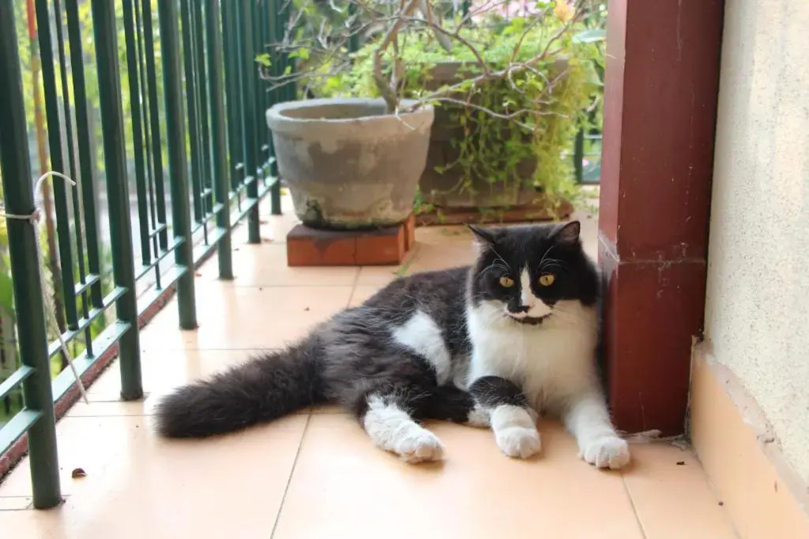 Colombo Airport Homestay