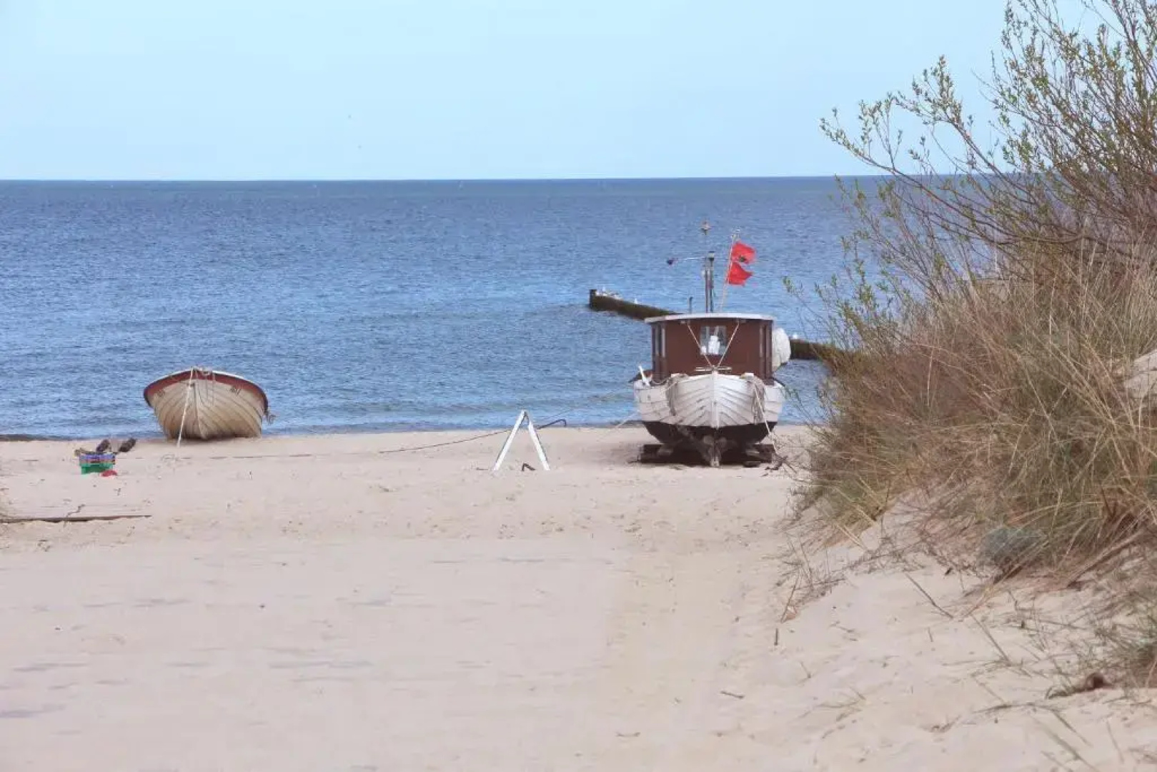 Strandläufer Zempin