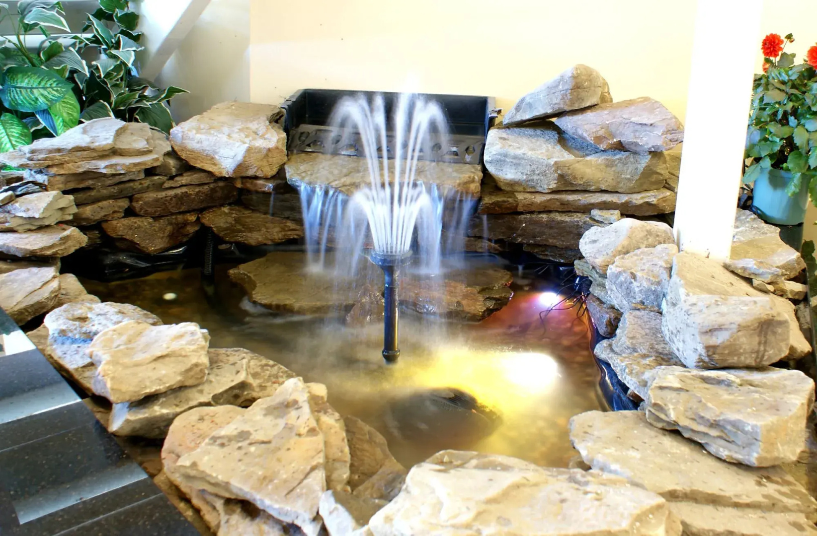 Hyannis Plaza Hotel