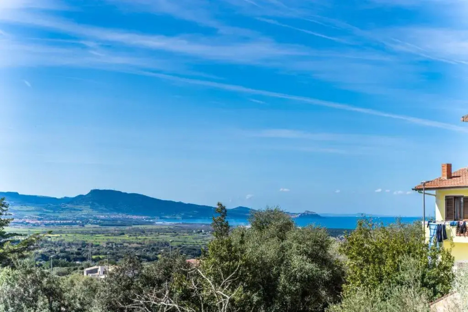 Welcomely - Dei Mille - La vigna 3