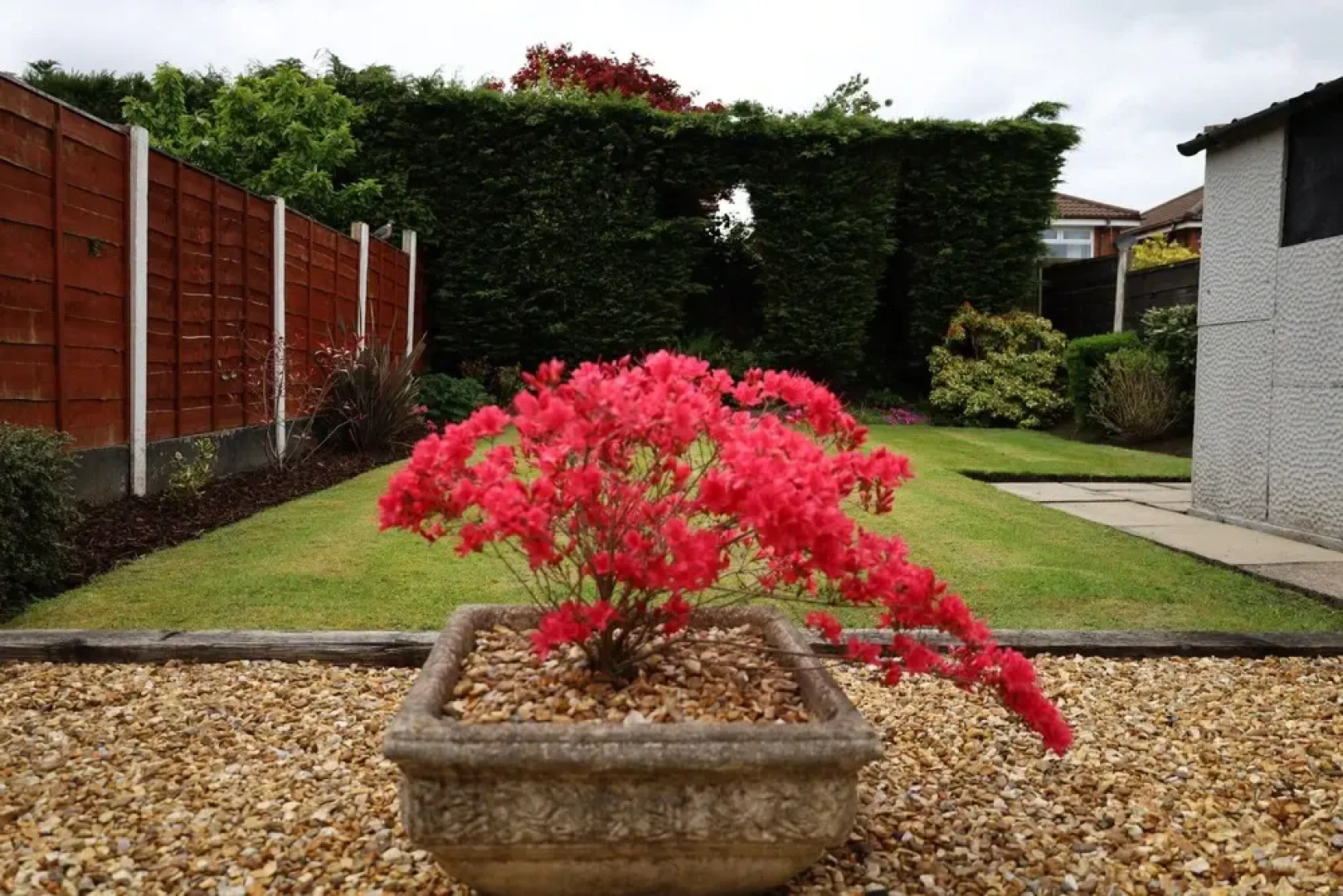 Ideal Lodgings in Whitefield