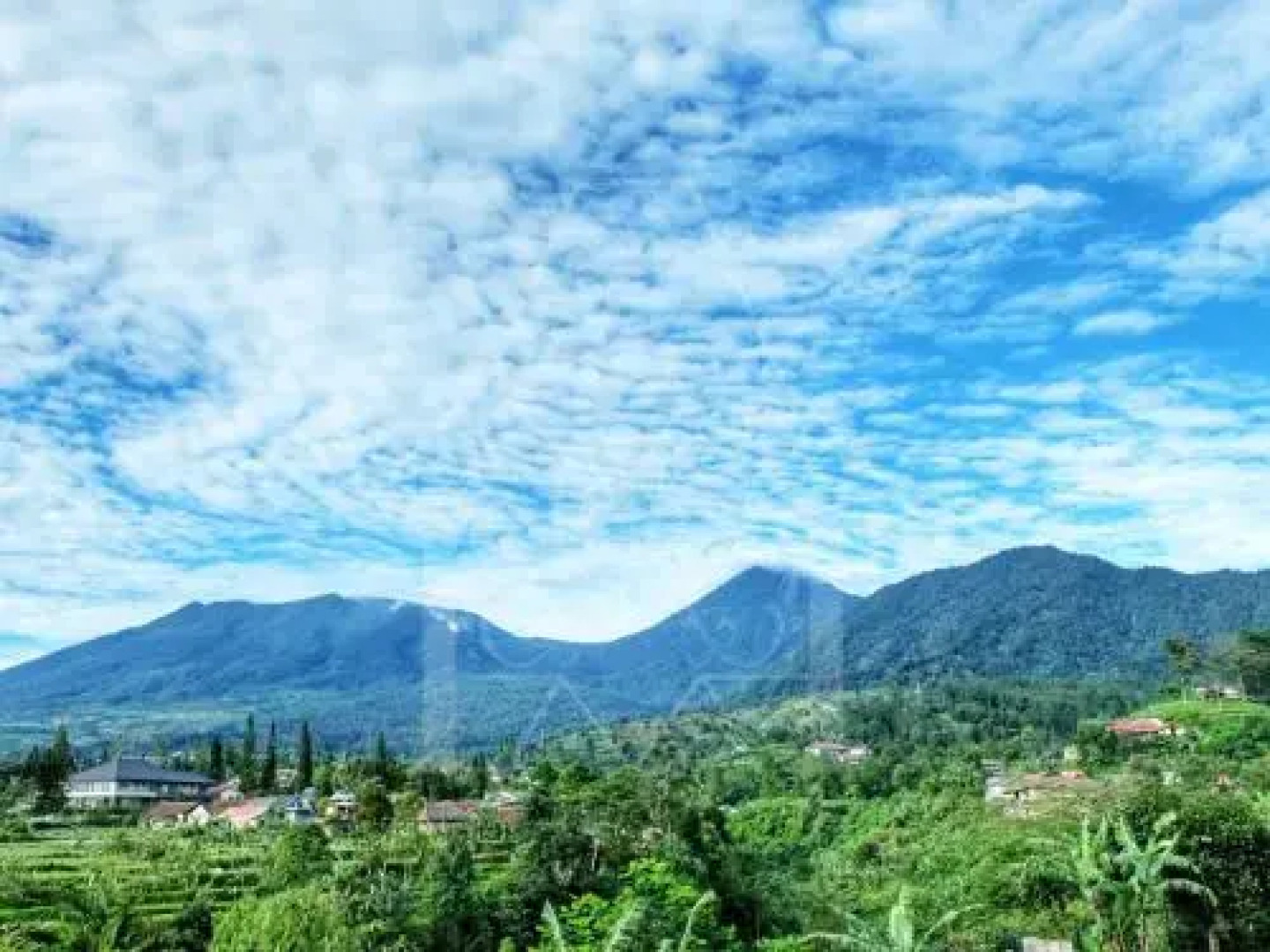 Studio Room @ Wisma Halim Villas & Conference