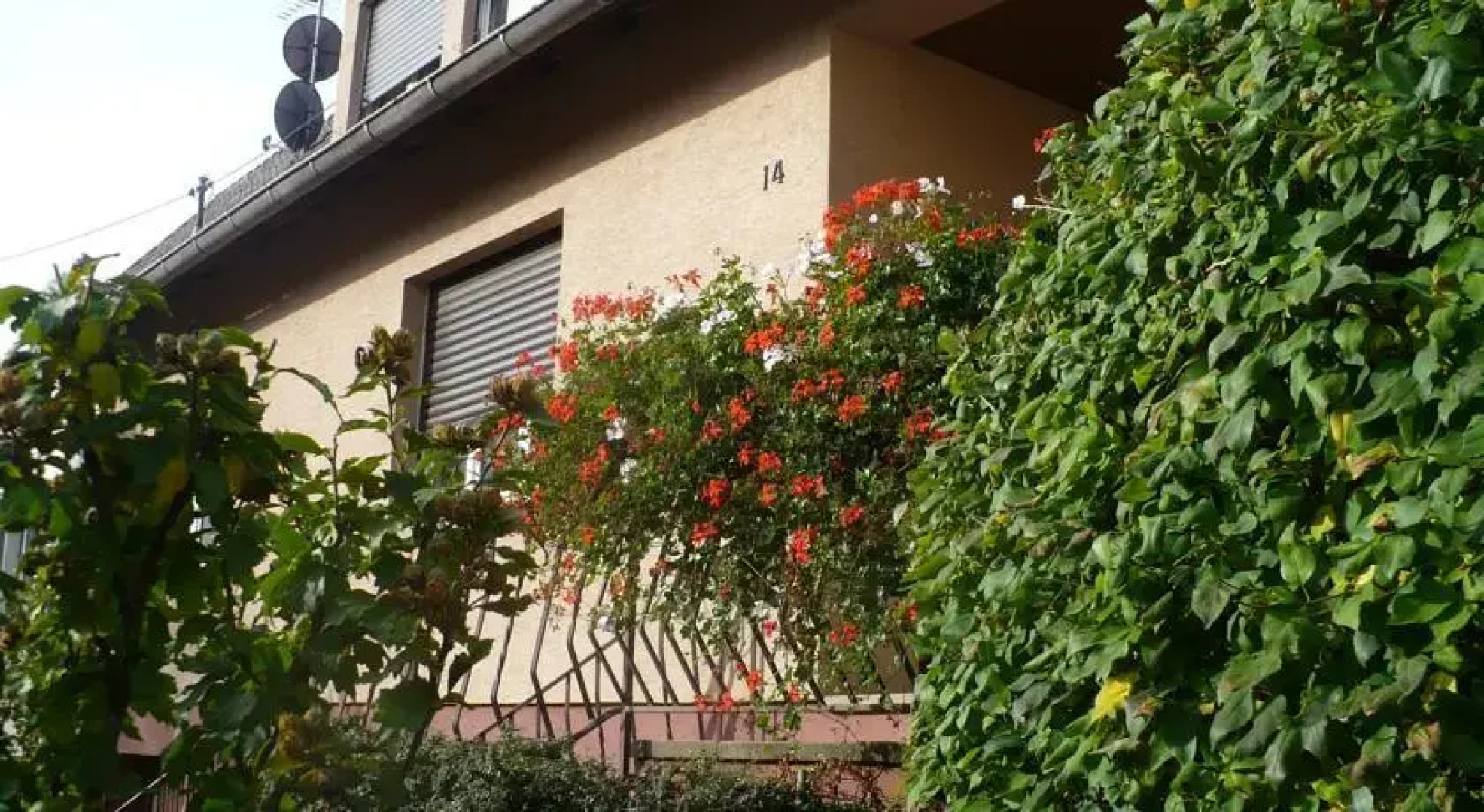 Gîte Les perles du Vignoble