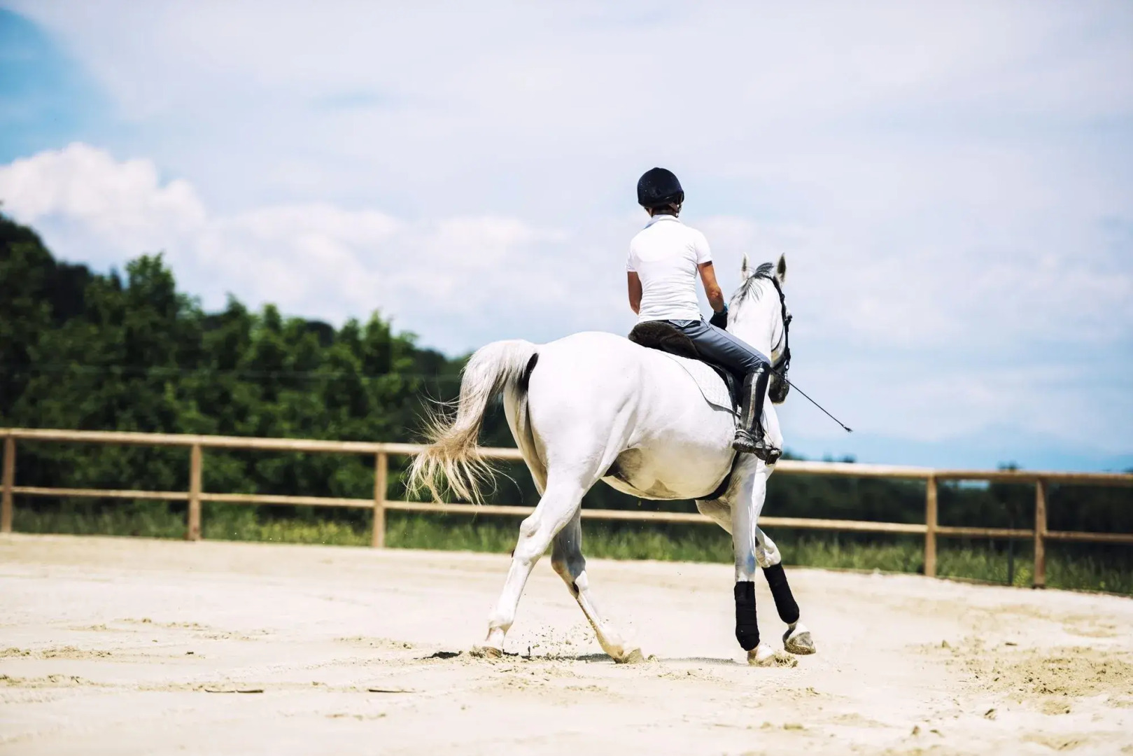 Agriturismo Podere Diacceroni