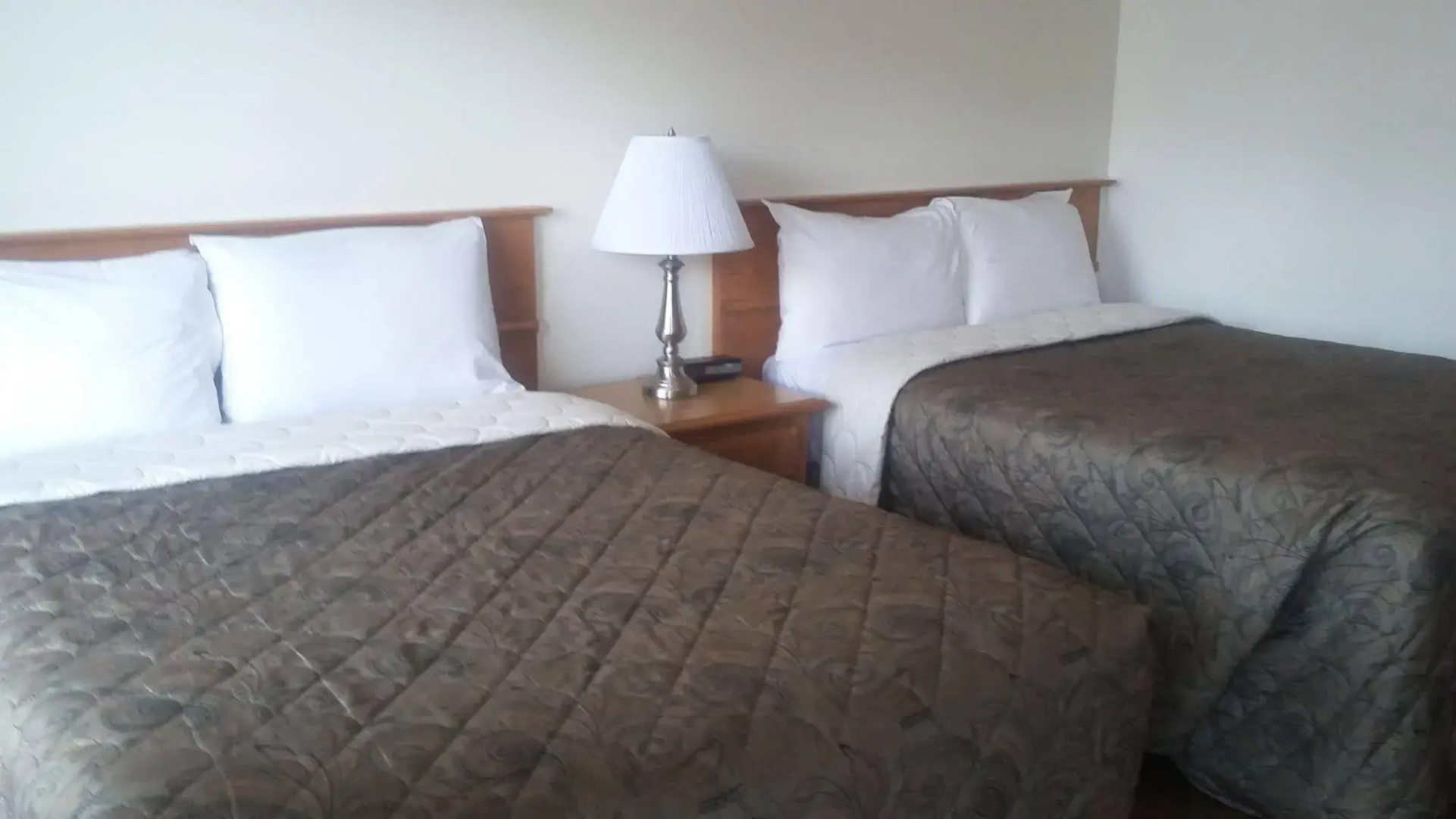 Shoreline Resort