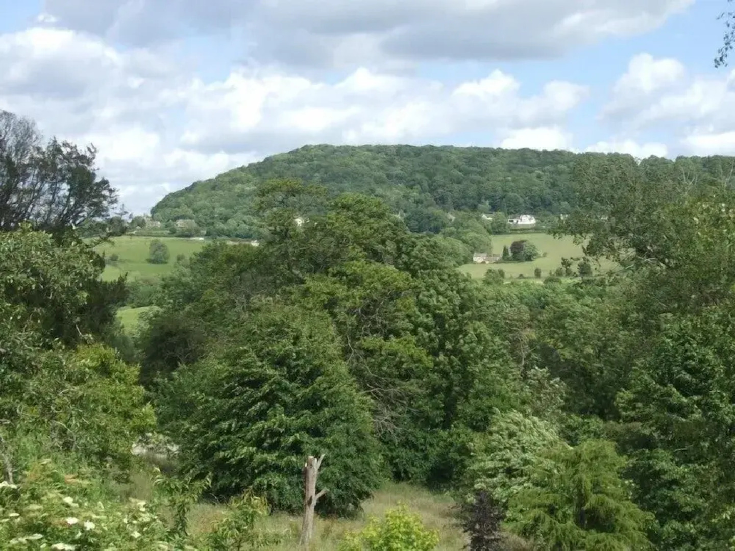 Tibbiwell Lodge - B&B