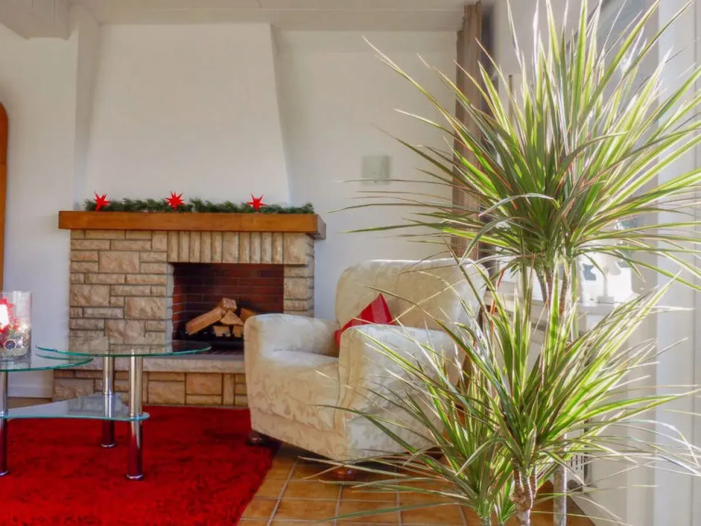 Apartment Waldvogt Bognanco