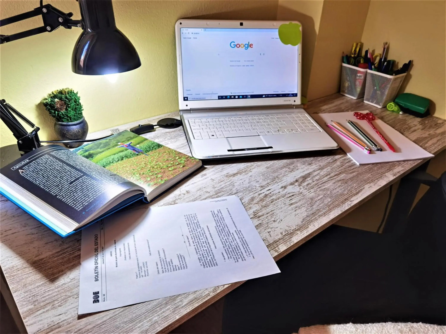 Piso amplio y luminoso, La Pomar