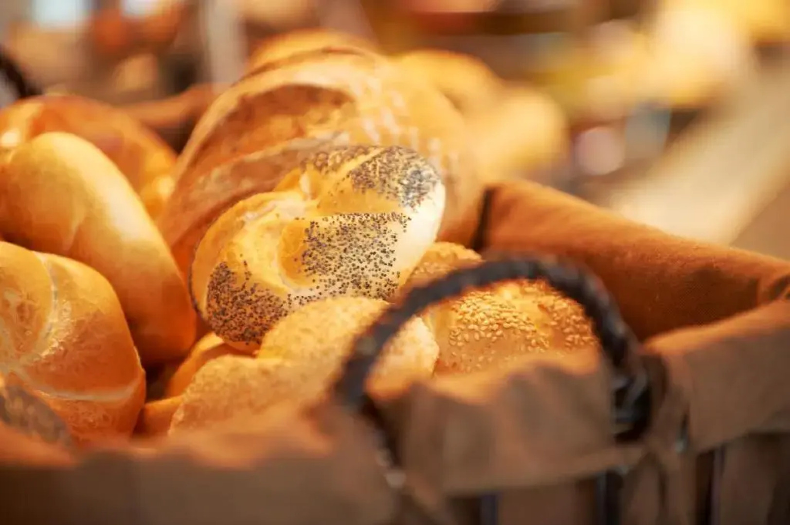 Hotel Garni Tannleger