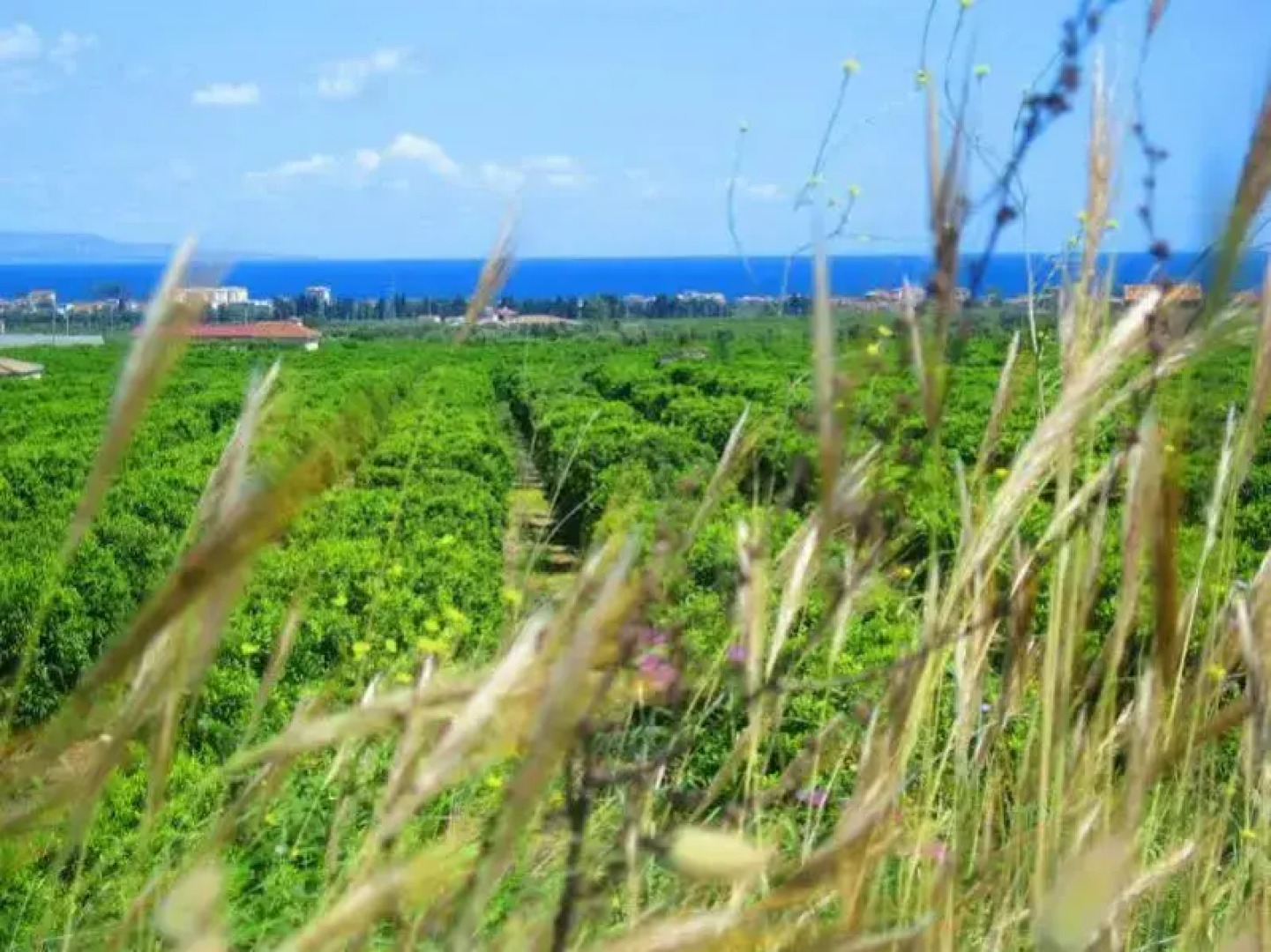 Relais Hotel Palazzo Castriota