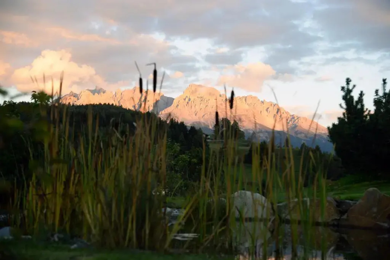 Green Luxury Hotel Pfösl