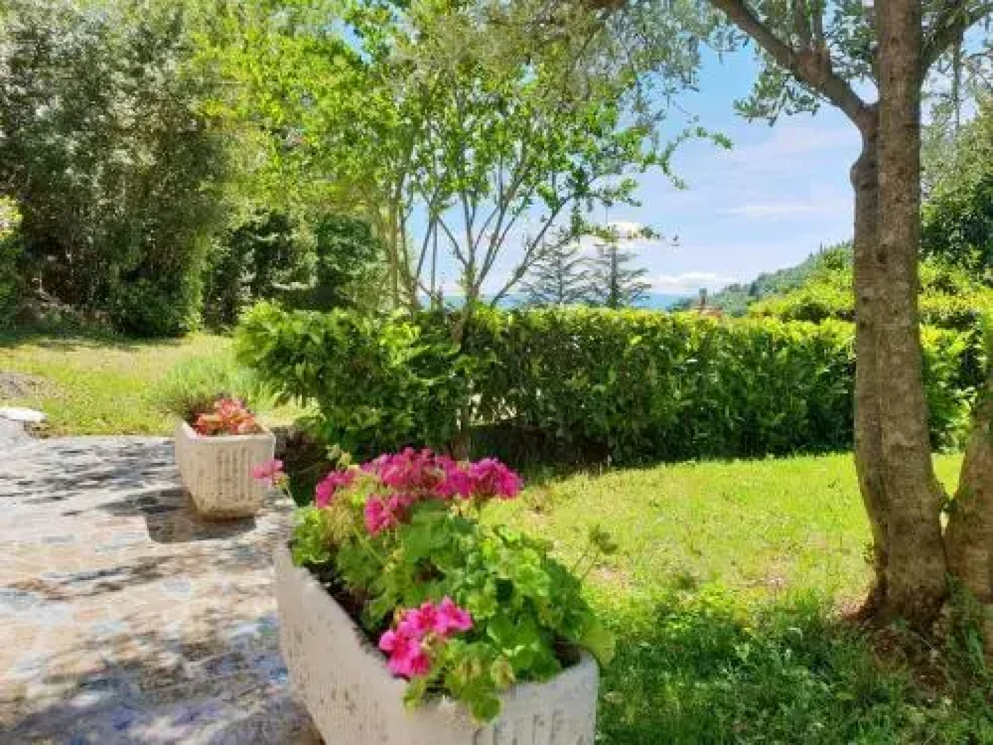 Apartment and B&B Mikleus