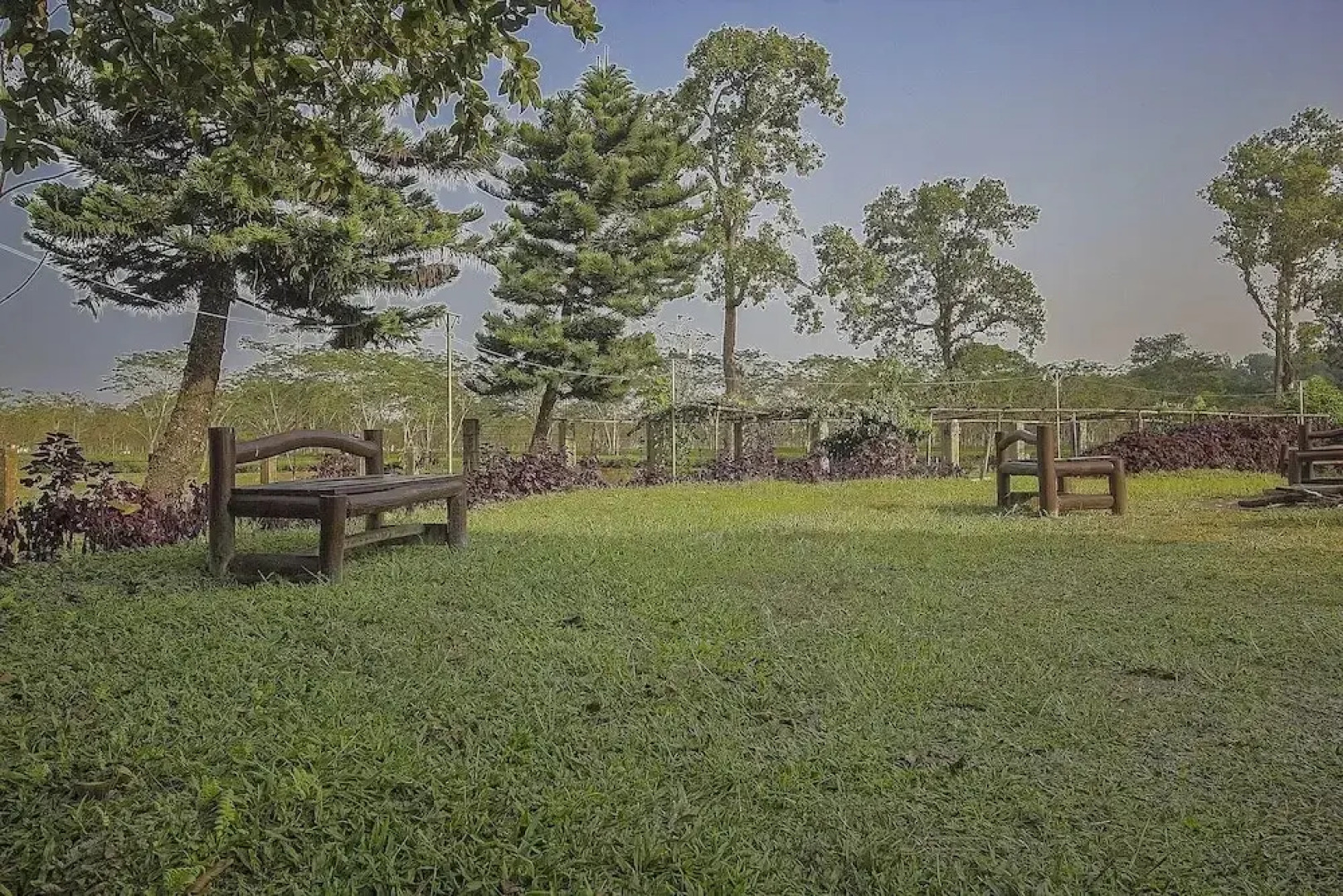 Resort Gorumara Nest By OYO Rooms