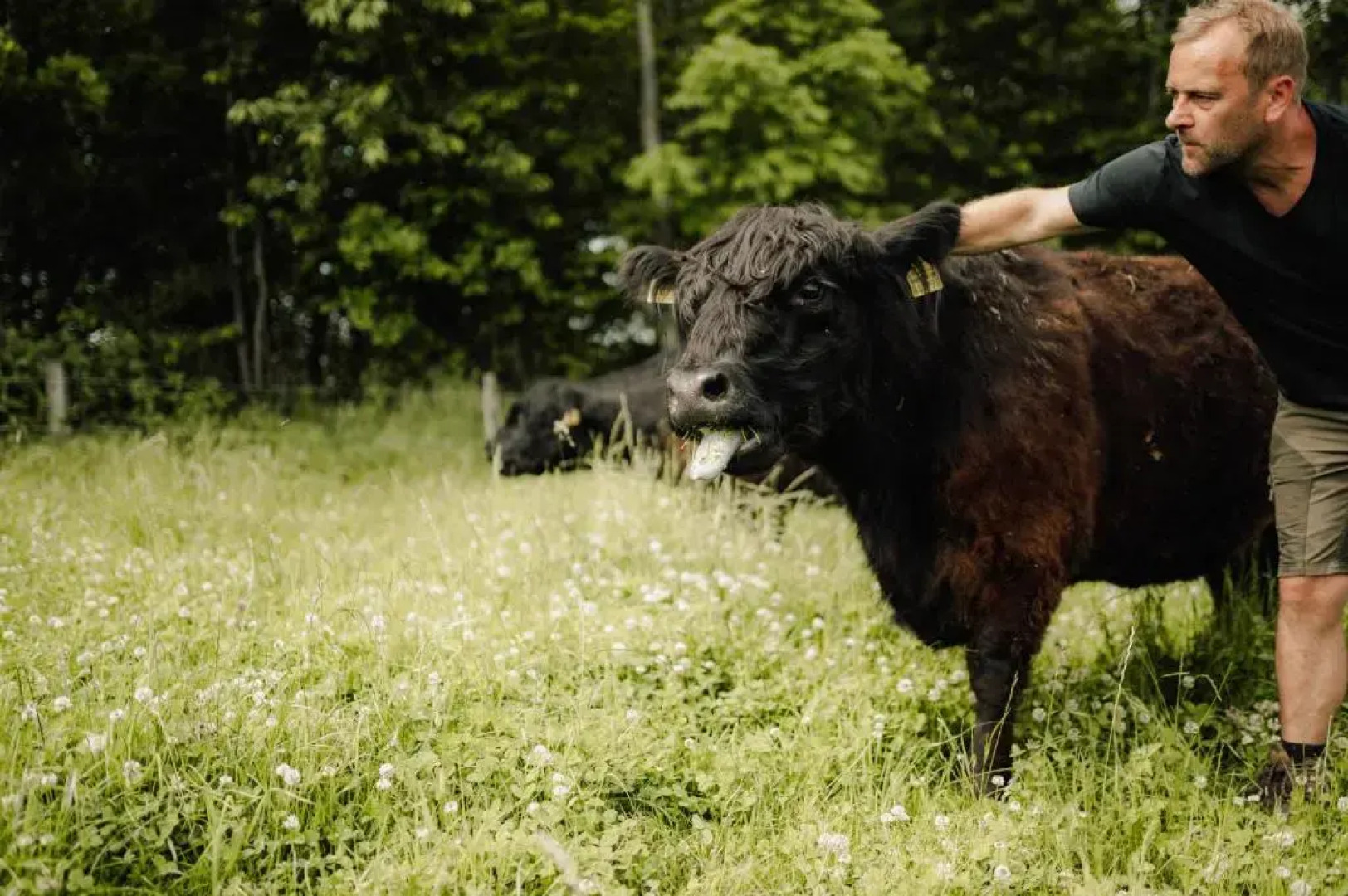 Sommer's "Schöne Aussicht" Restaurant & Suiten