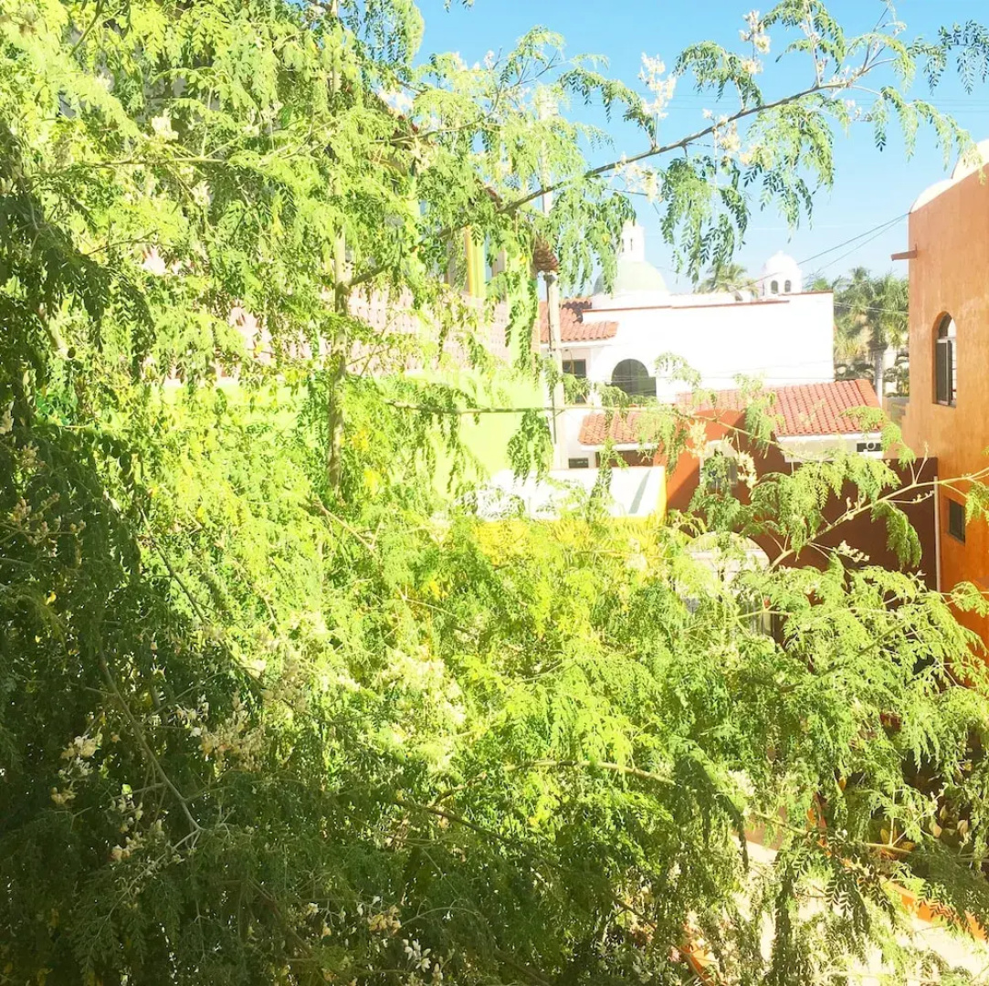 Villa La Joya