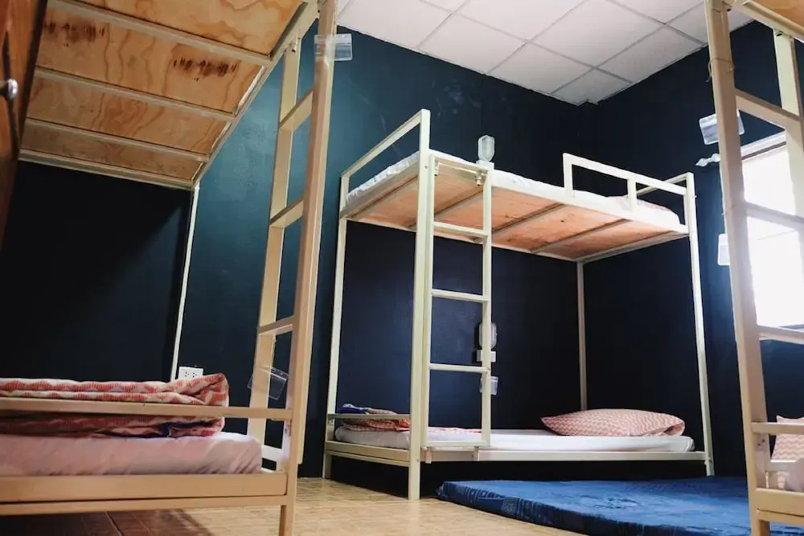 Carrot On The Moon Hostel