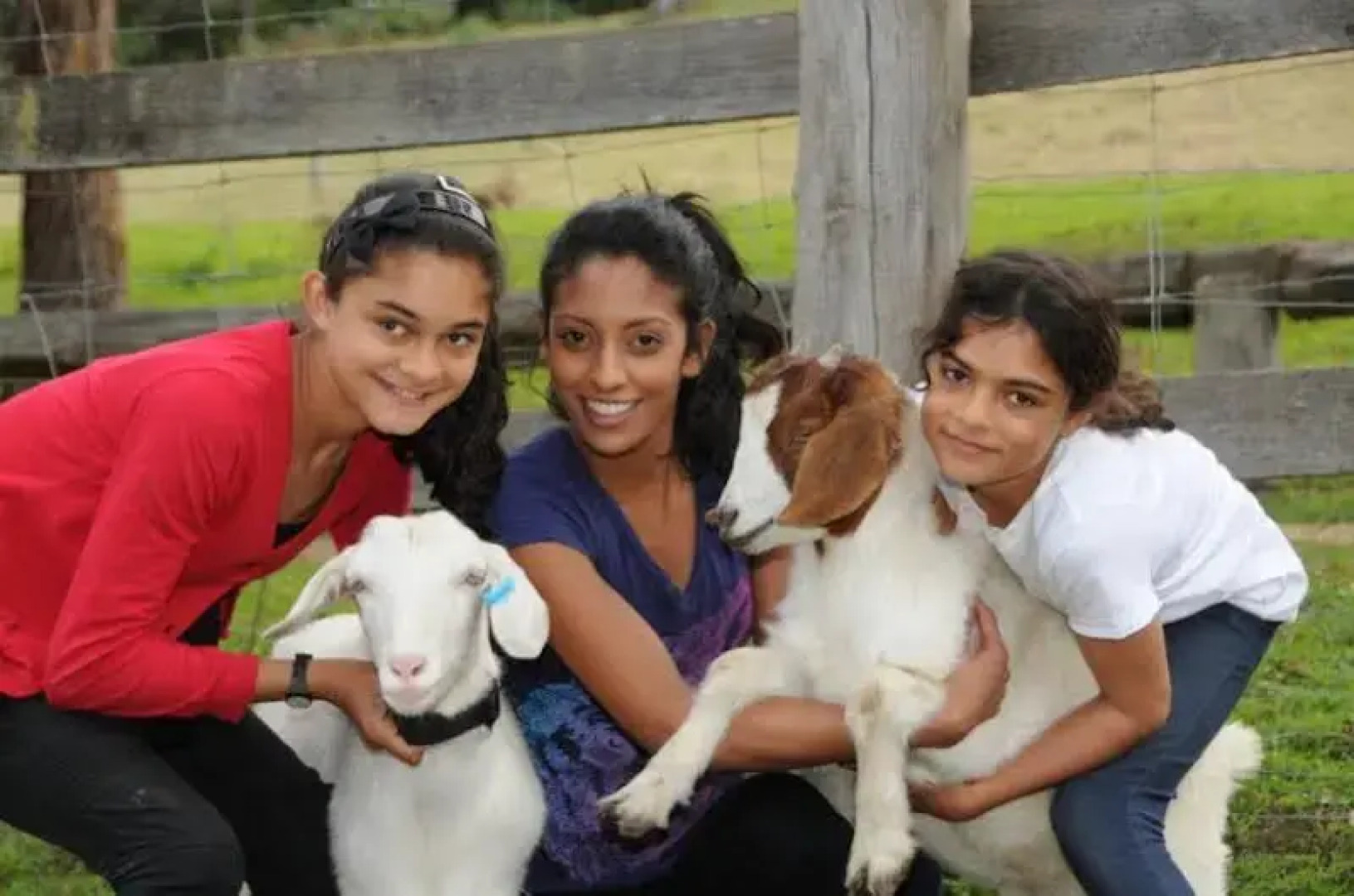 The Tops Organic Retreat