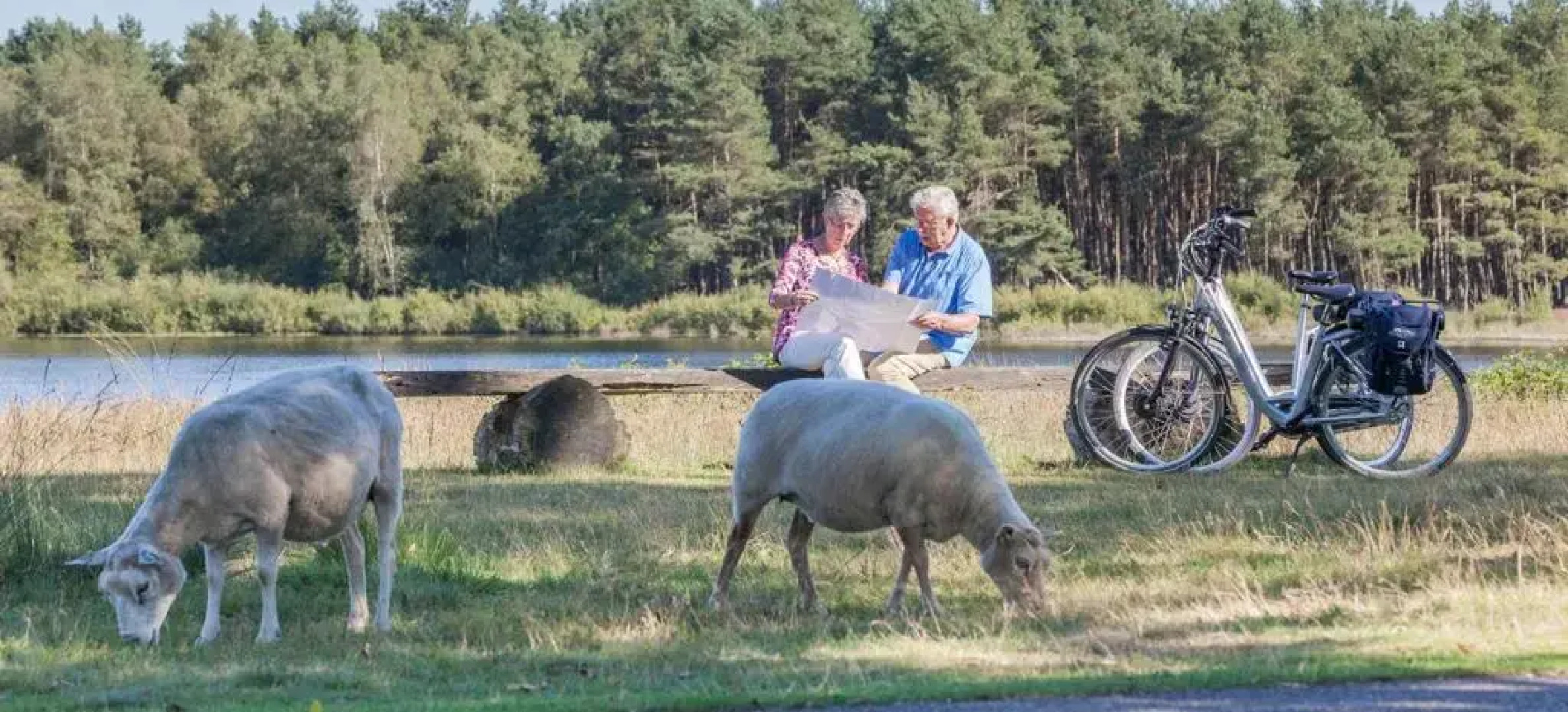 Van Der Valk Hotel Spier - Dwingeloo