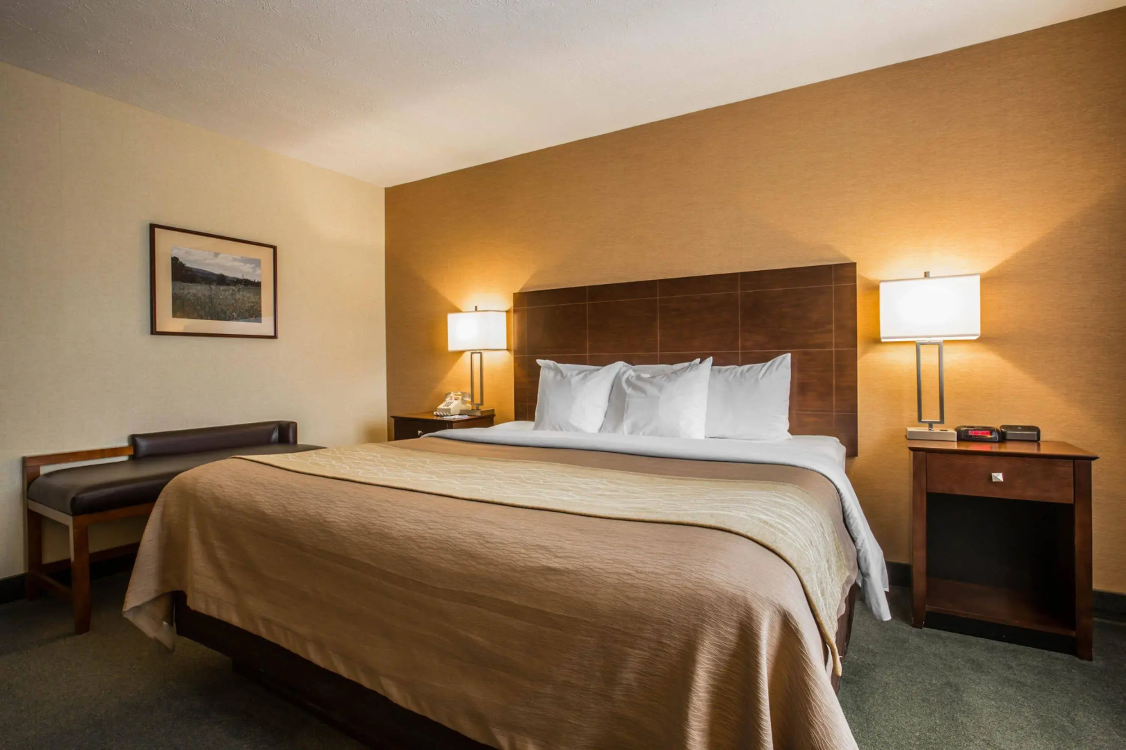 Comfort Inn & Suites Montpelier-Berlin