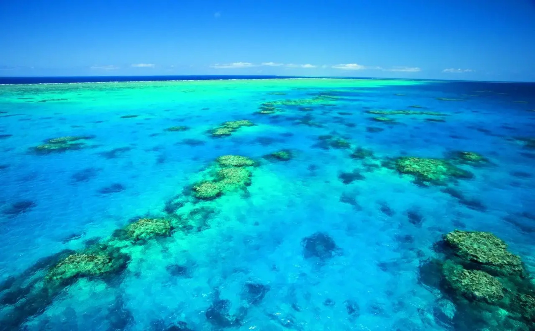 NRMA Cairns Holiday Park