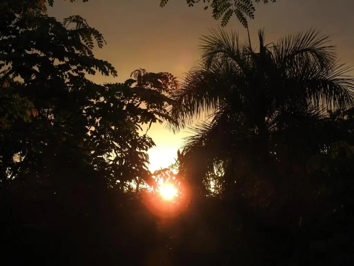 Casa del Sol -Unit B