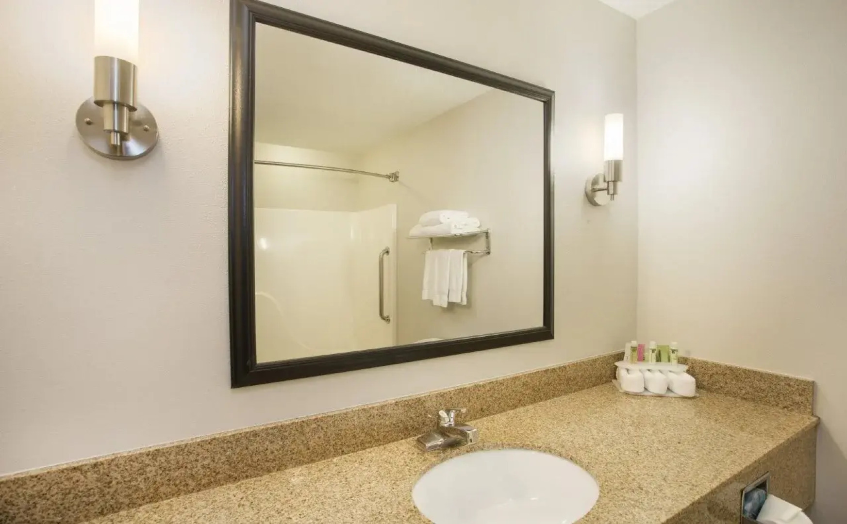 Holiday Inn Express Hotel & Suites Kalamazoo