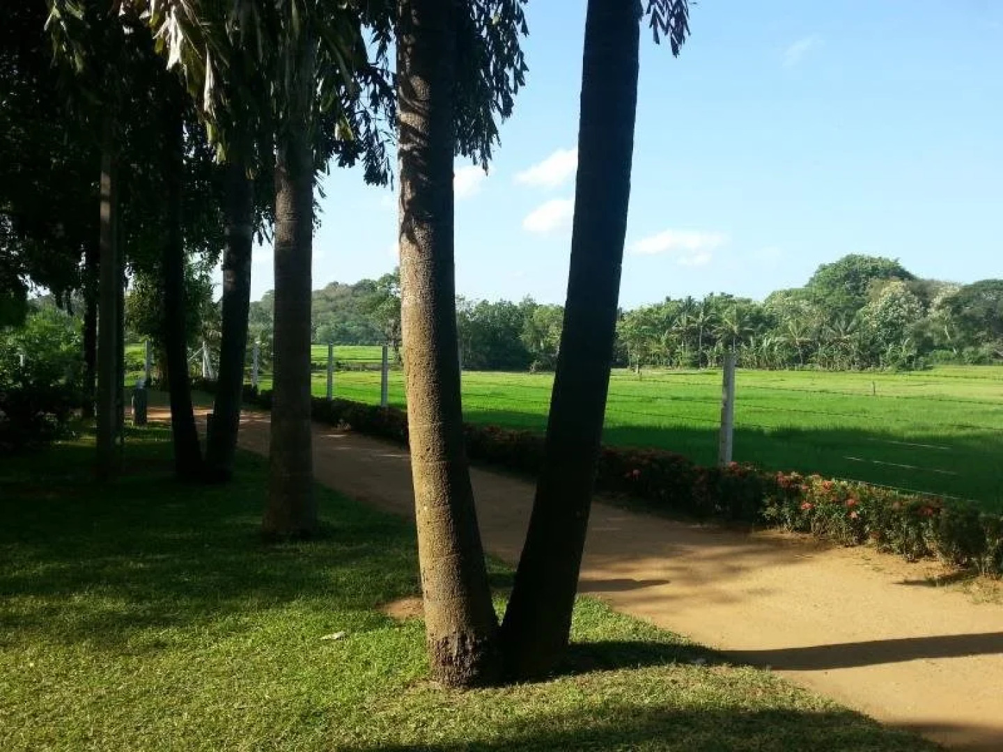 Triangle Holiday Inn