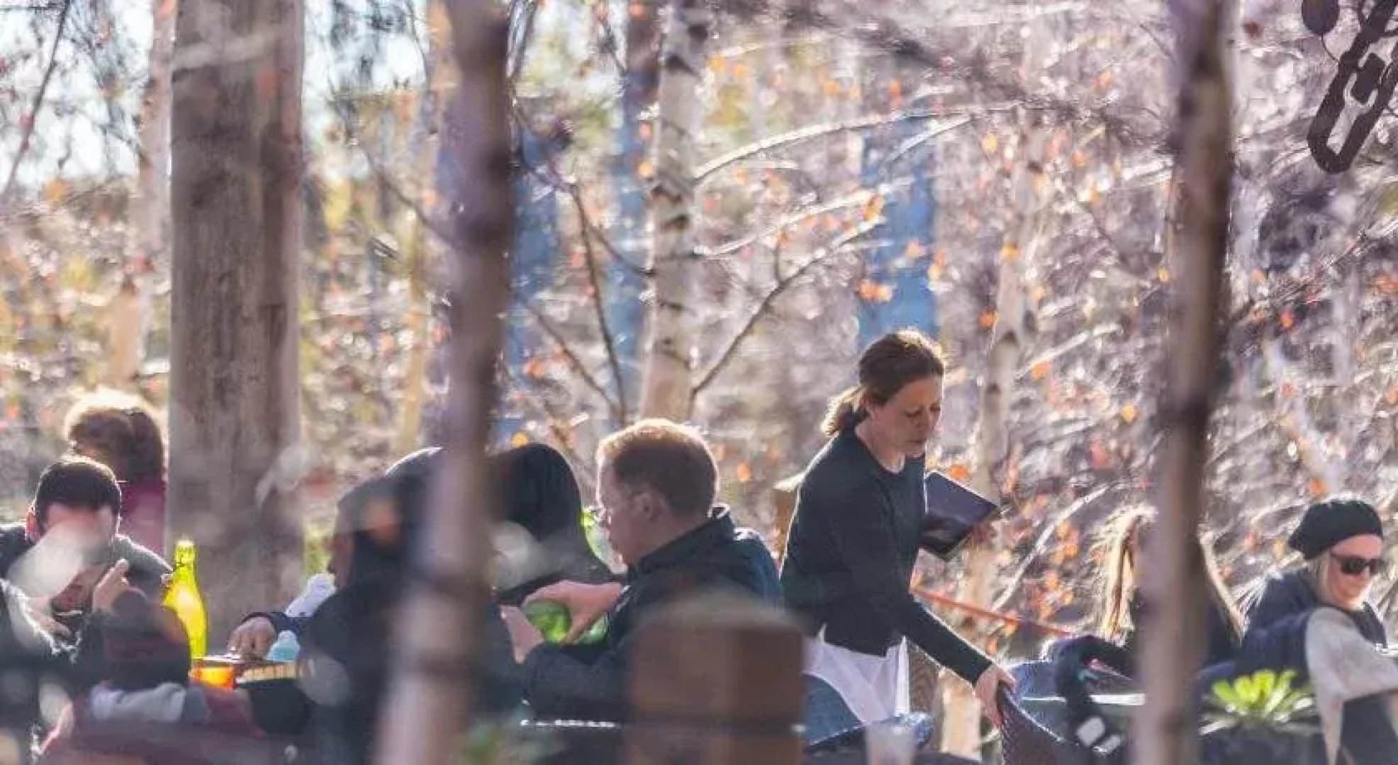 Oakdene Vineyards Guesthouse