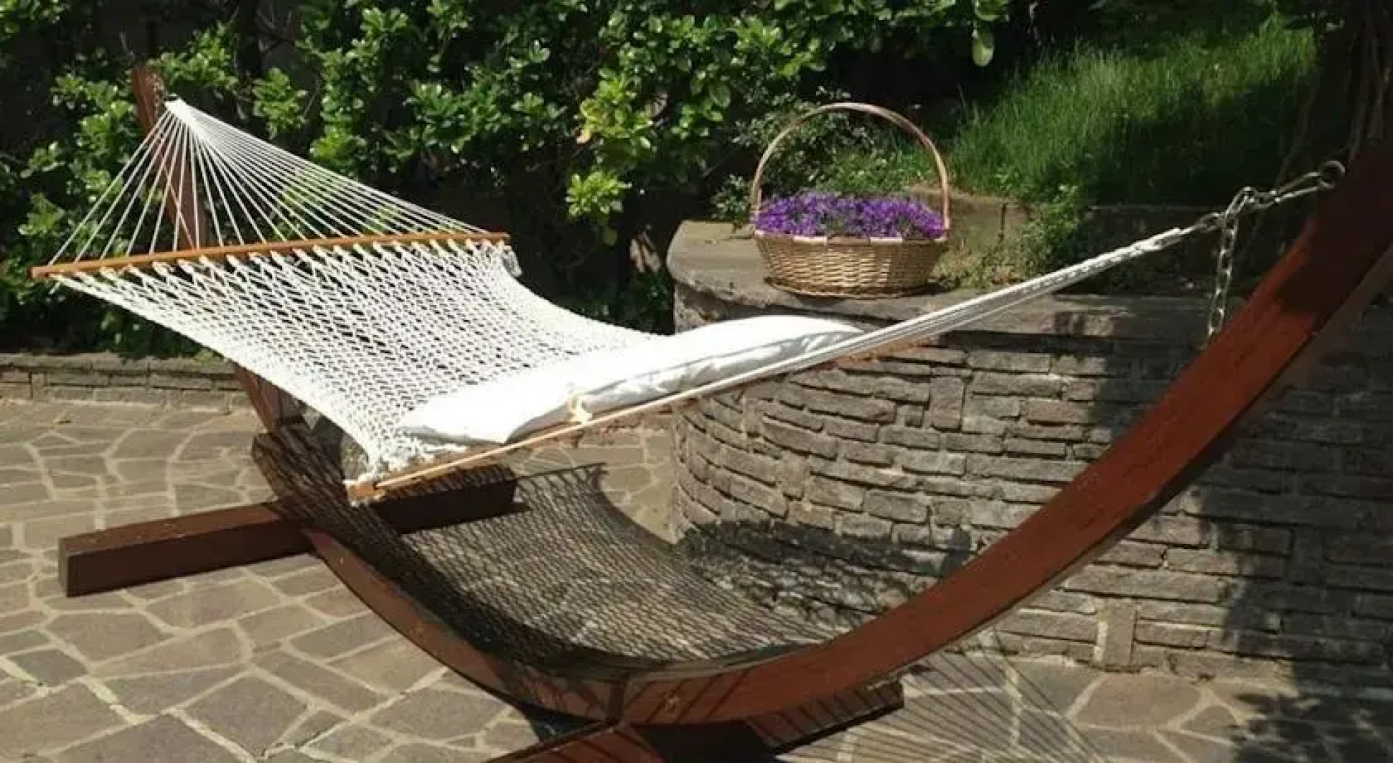 Il Pungi Topo