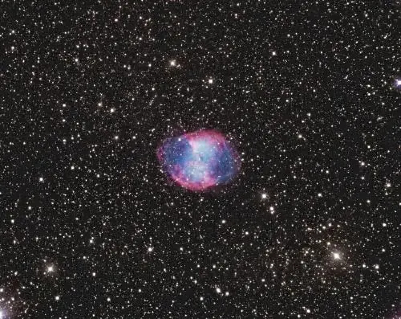 Appartement T2 de l'observatoire