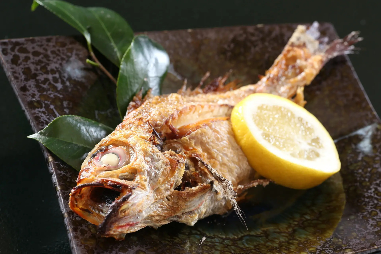 Echizenkaigan Tamagawa No Yado Iwamotoya