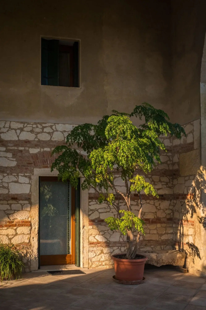 Rosmarino apartment with two bedrooms and one bathroom on the ground floor (apartment 1)