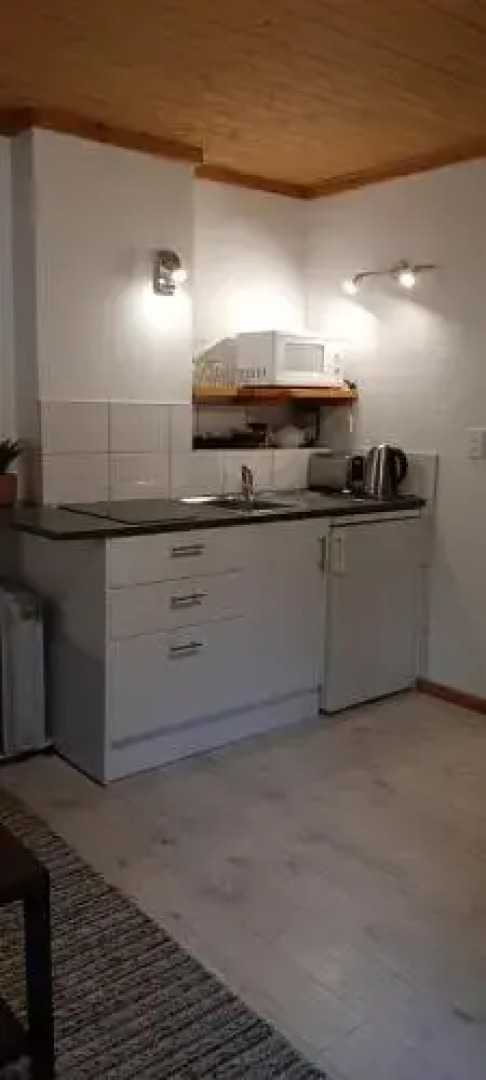 Buena Vista Apartment